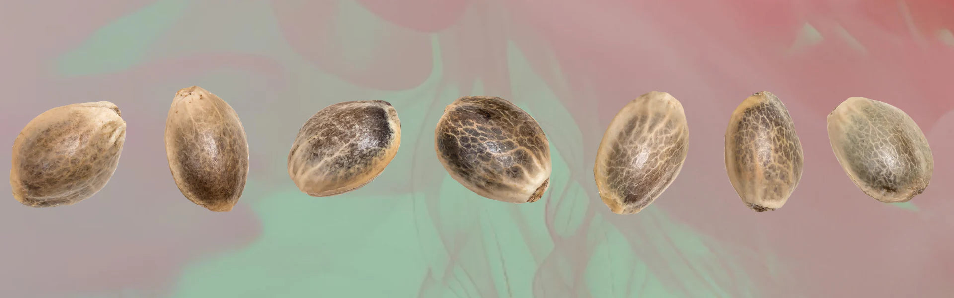 Bunte CBD Gummi Edibles in rechteckiger Form – gesunde Hanfnahrung für bewussten Genuss