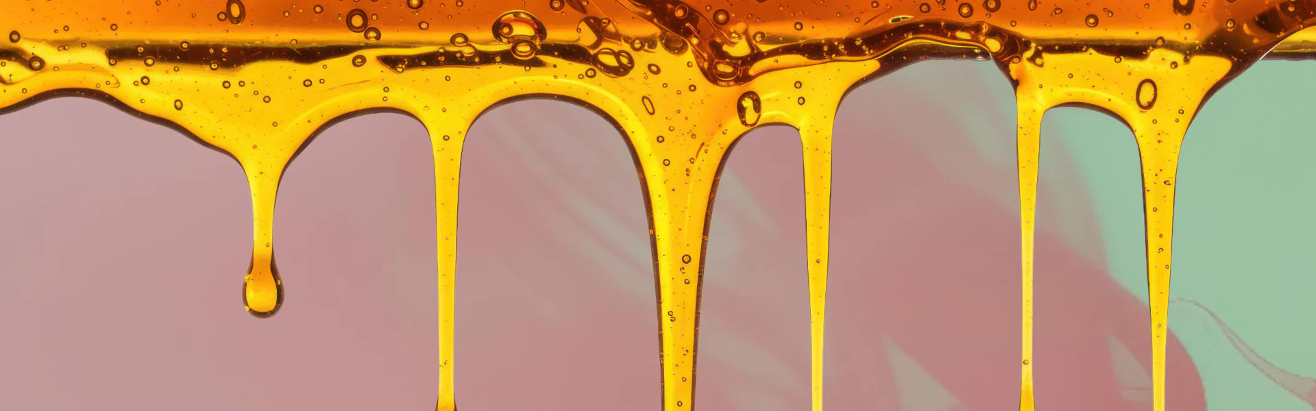 CBD Öl Tropfen der von der Decke hängt vor einem Salbeifarbenen Hintergrund