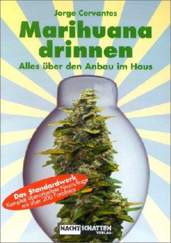 Marihuana Pflanze in der Blüte in einem Glas
